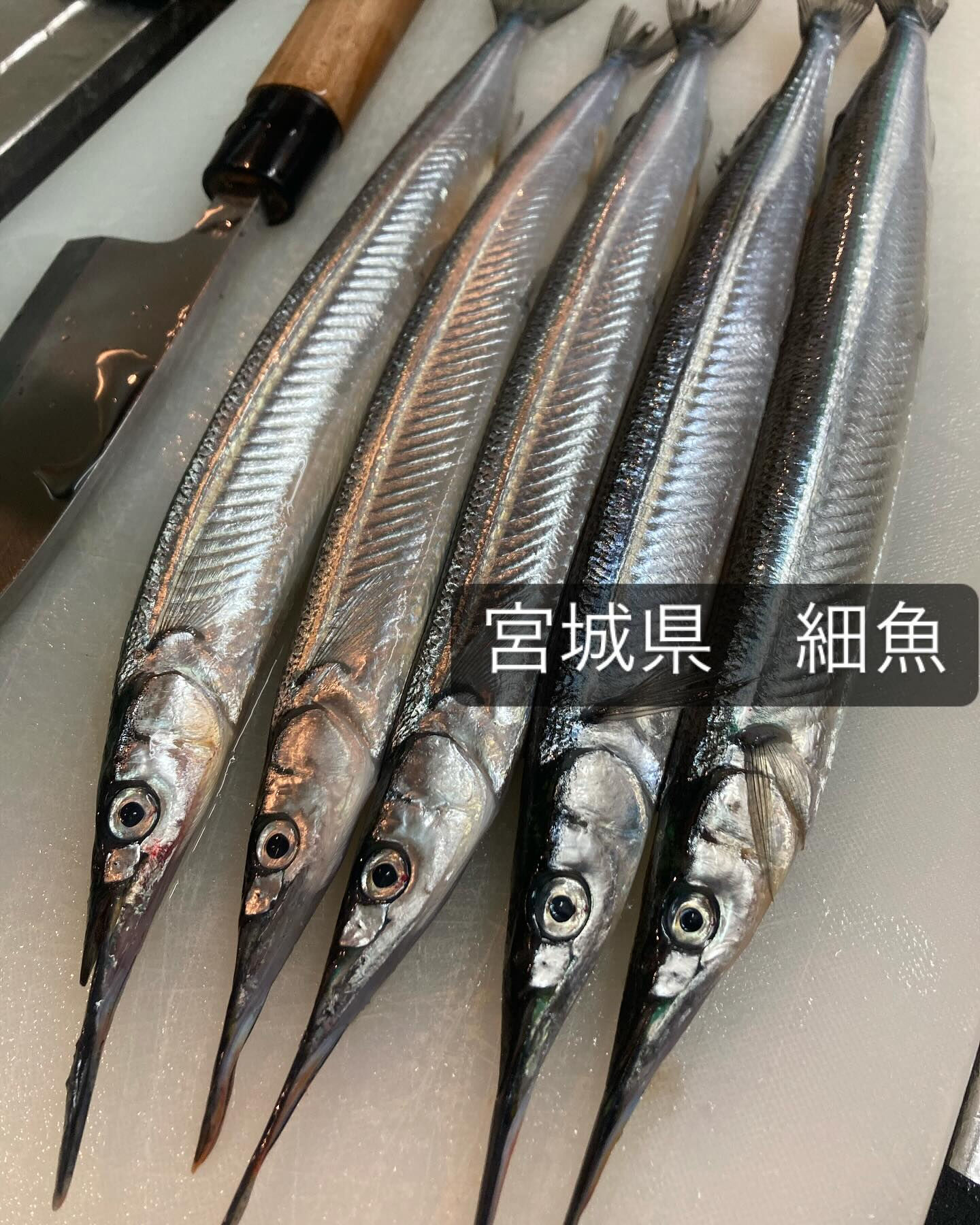 寒さも緩み、食材もたくさん良いものが揃ってきました