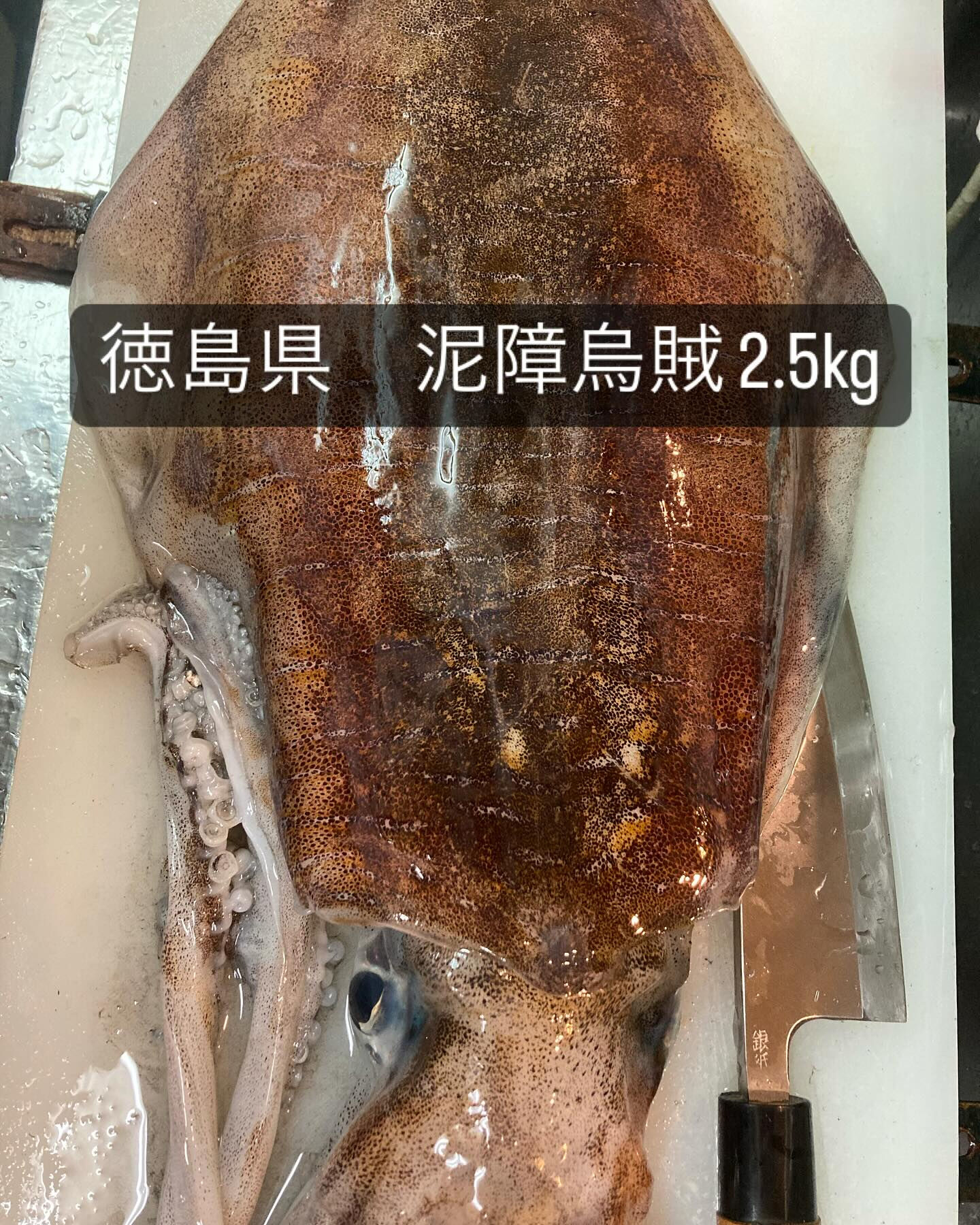 寒さも緩み、食材もたくさん良いものが揃ってきました