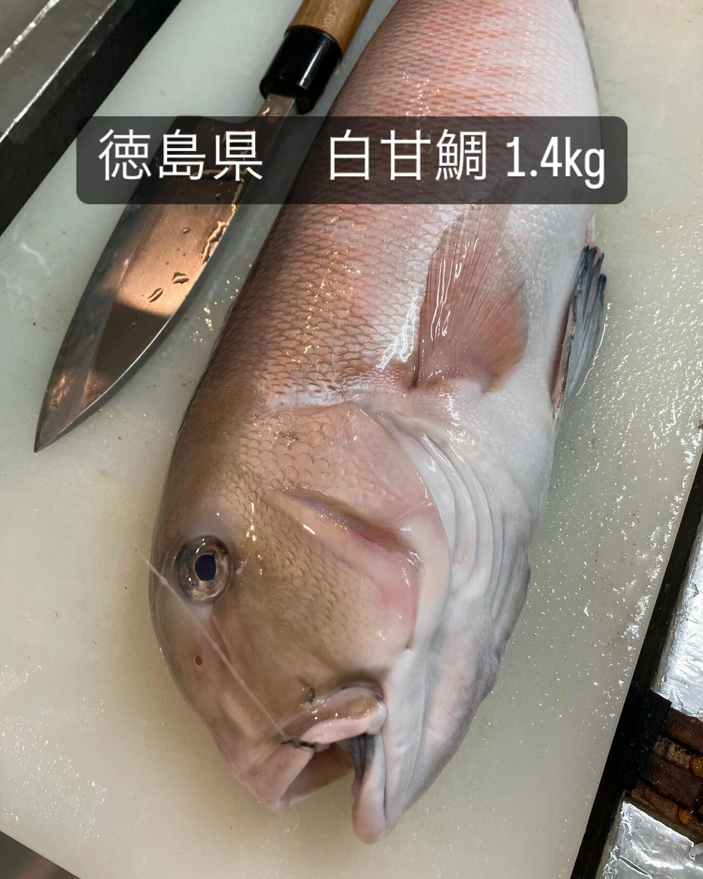寒さも緩み、食材もたくさん良いものが揃ってきました